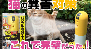 猫の糞害対策は【フマキラー 猫まわれ右 びっくりスプレー】が完璧だった！！